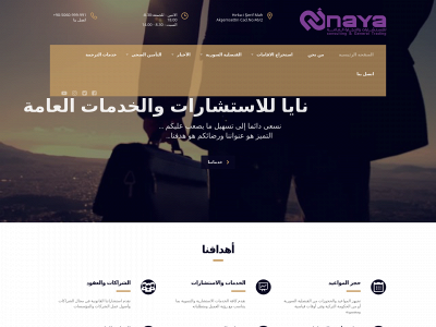 naya-co.com snapshot