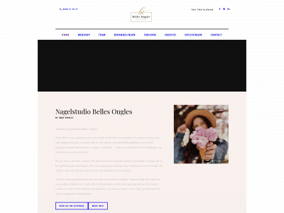 bellesongles.be snapshot