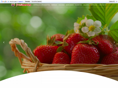 www.ecoberries.com snapshot