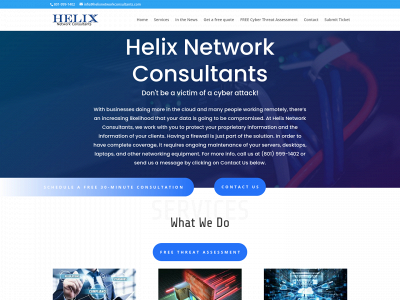 helixnetworkconsultants.com snapshot