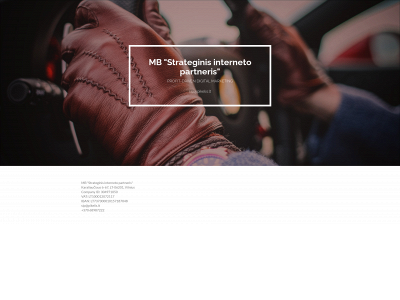 strateginisinternetopartneris.lt snapshot