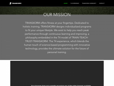 t4orm.com snapshot