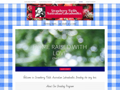 strawberryfieldslabradoodles.com snapshot