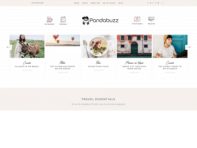 pandabuzz.ie snapshot