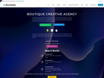 riviweb.com snapshot