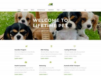 www.premiumpetdogs.com snapshot
