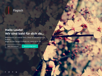 flogisch.de snapshot