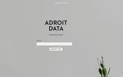 adroitdata.tech snapshot