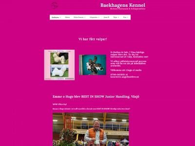 baekhagens.se snapshot