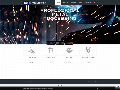 normetas.lt snapshot