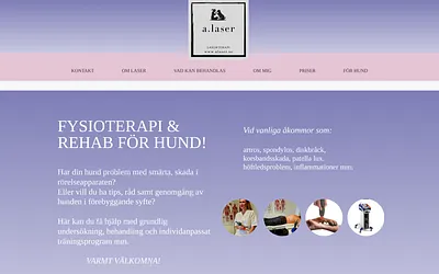 alaser.se snapshot
