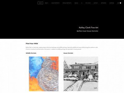 www.buffalo-coast.com snapshot