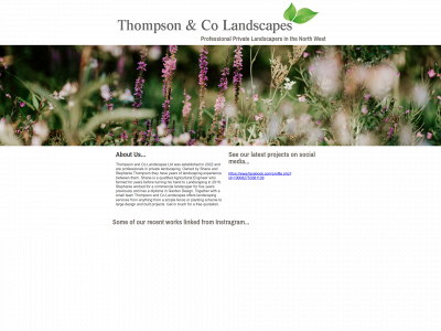 thompsonandco.site snapshot