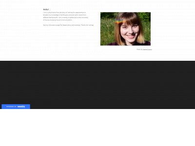 alliefeigeles.weebly.com snapshot