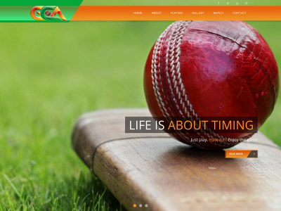 goltaycricketacademy.com snapshot