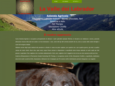lavalledeilabrador.it snapshot