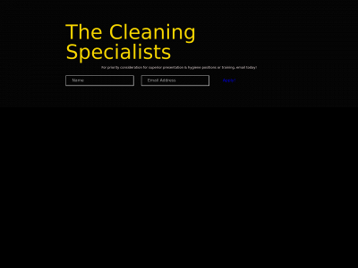 thecleaningspecialists.co.nz snapshot