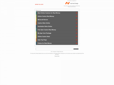 amer-cs.com snapshot