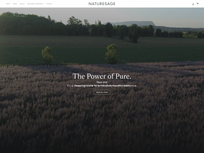 naturesageomega3.com snapshot
