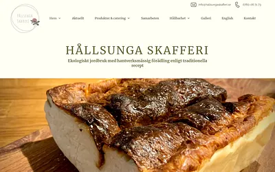 hallsungaskafferi.se snapshot
