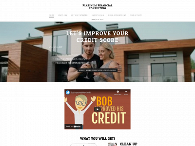 platinumfinancialconsulting.com snapshot