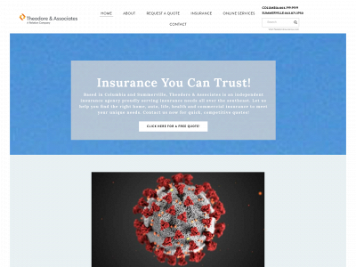 www.theodoreinsurance.com snapshot
