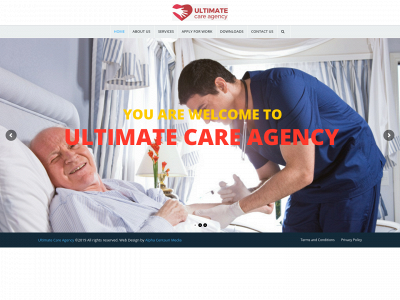 ultimatecareagency.com snapshot