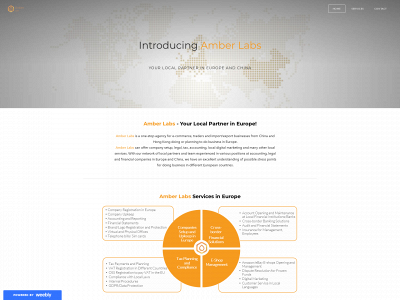 amberlabs.lt snapshot
