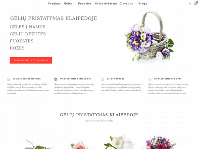 www.floristikosnamai.lt snapshot