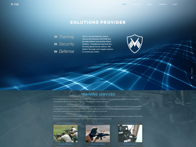 www.vig-sec.com snapshot