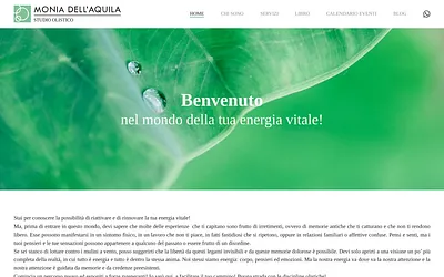 studiomoniadellaquila.it snapshot
