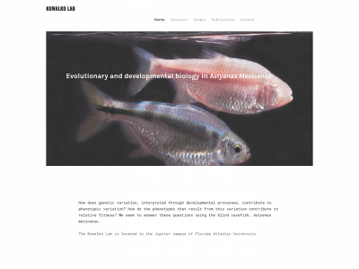 kowalkolab.weebly.com snapshot