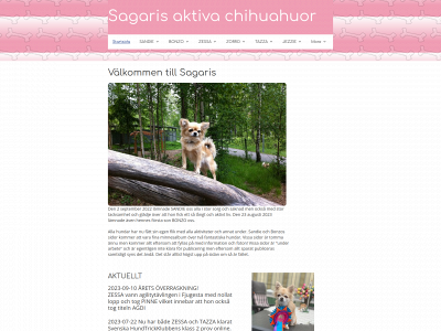 sagaris.se snapshot