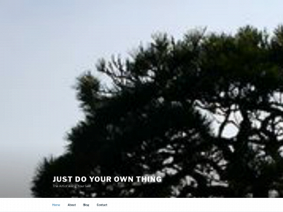 justdoyourownthing.com snapshot