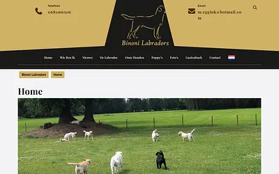 binoni-labradors.nl snapshot