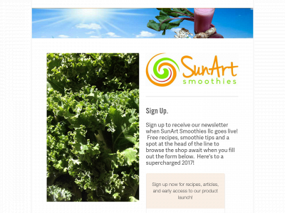 sunartsmoothies.com snapshot