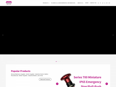 taiway.com snapshot