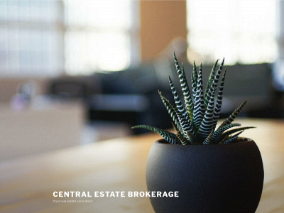 centralestatelb.com snapshot