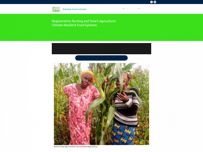 nabahyafoodinstitute.org snapshot