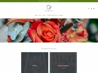 paintbyflowers.com snapshot