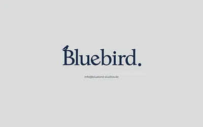 bluebird-studios.de snapshot