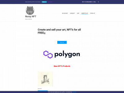 noray.io snapshot