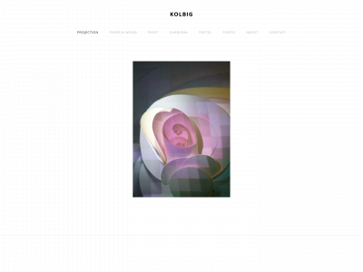 www.staceykolbig.com snapshot