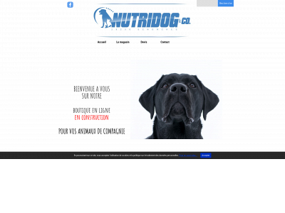 nutridogandco.com snapshot