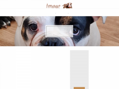 bulldogge.dog snapshot