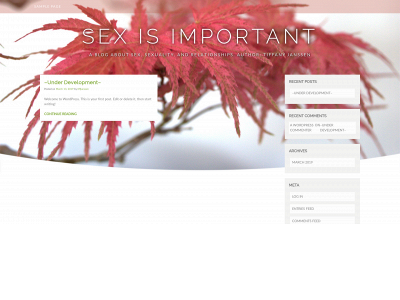 sexisimportant.com snapshot