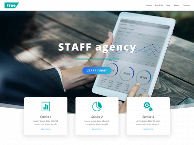 staffingandassociates.com snapshot