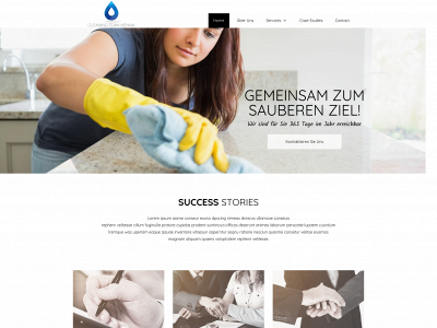 cleaningteamvienna.at snapshot