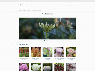 tumlehedblommortradgard.se snapshot