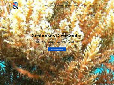 seahorses.ro snapshot